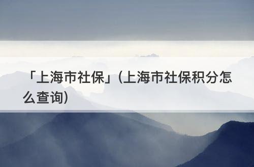 「上海市社保」(上海市社保积分怎么查询)