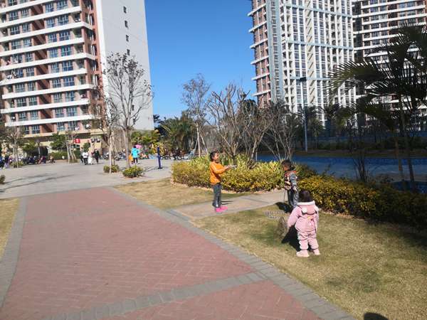 人才引进入户深圳申报过程