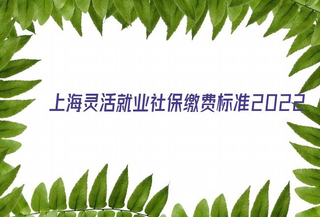 上海灵活就业社保缴费标准2022