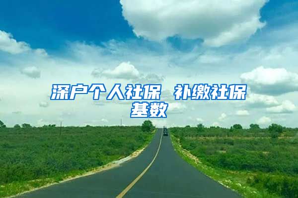 深户个人社保 补缴社保基数