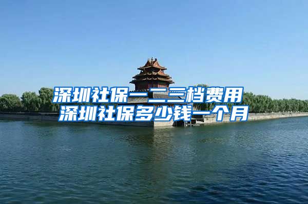 深圳社保一二三档费用 深圳社保多少钱一个月