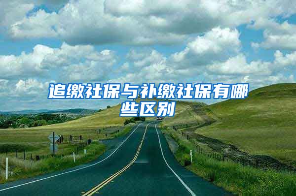 追缴社保与补缴社保有哪些区别