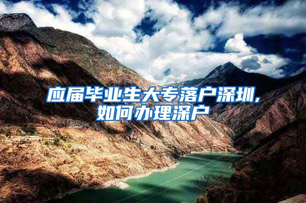 应届毕业生大专落户深圳,如何办理深户