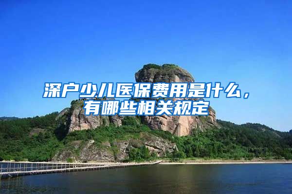 深户少儿医保费用是什么，有哪些相关规定