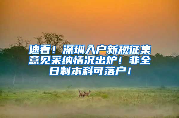 速看！深圳入户新规征集意见采纳情况出炉！非全日制本科可落户！
