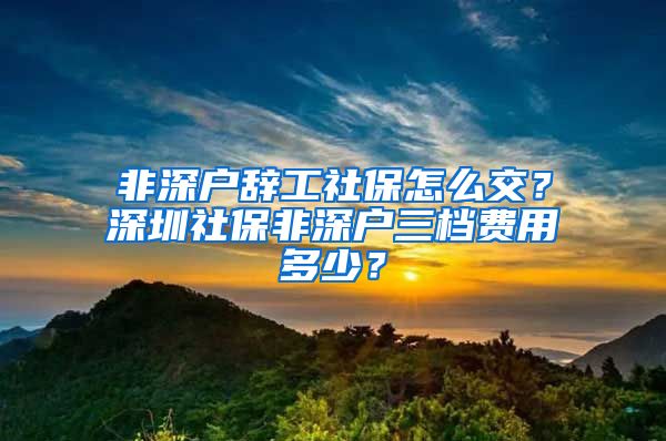 非深户辞工社保怎么交？深圳社保非深户三档费用多少？