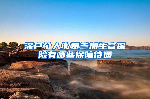 深户个人缴费参加生育保险有哪些保障待遇