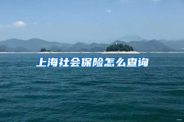 上海社会保险怎么查询
