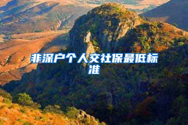 非深户个人交社保最低标准