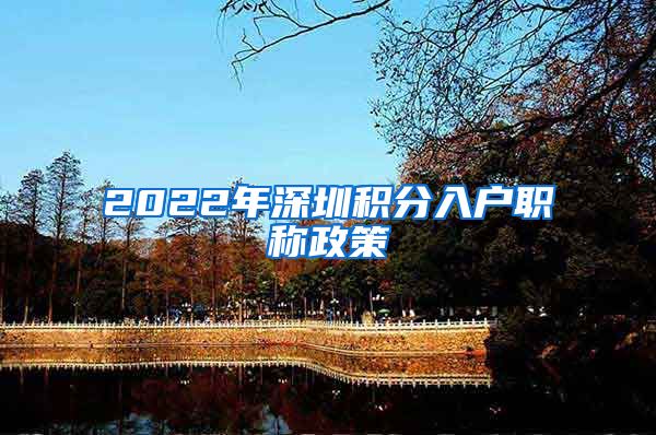 2022年深圳积分入户职称政策