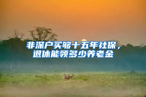 非深户买够十五年社保，退休能领多少养老金