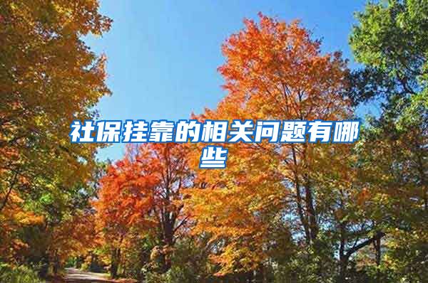 社保挂靠的相关问题有哪些