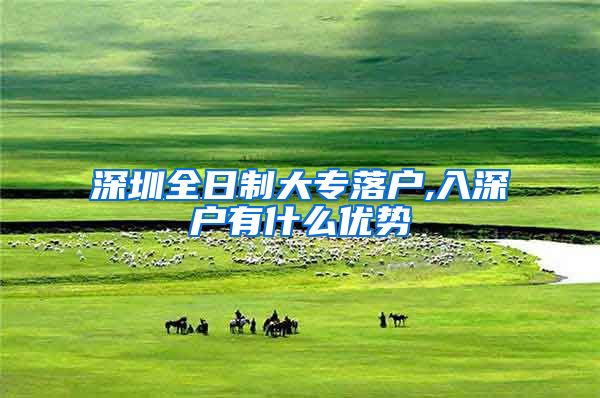 深圳全日制大专落户,入深户有什么优势