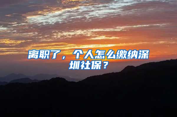 离职了，个人怎么缴纳深圳社保？