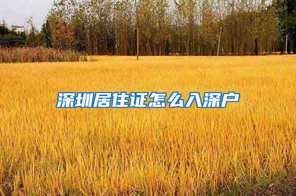 深圳居住证怎么入深户