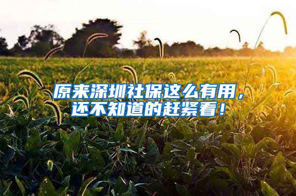 原来深圳社保这么有用，还不知道的赶紧看！
