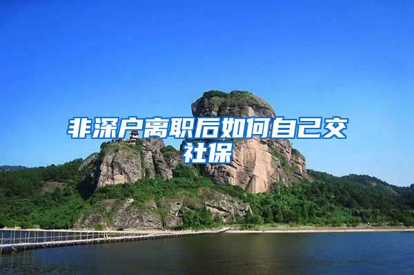 非深户离职后如何自己交社保