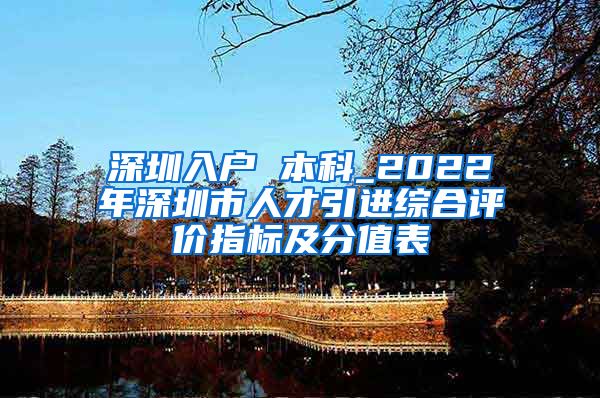 深圳入户 本科_2022年深圳市人才引进综合评价指标及分值表