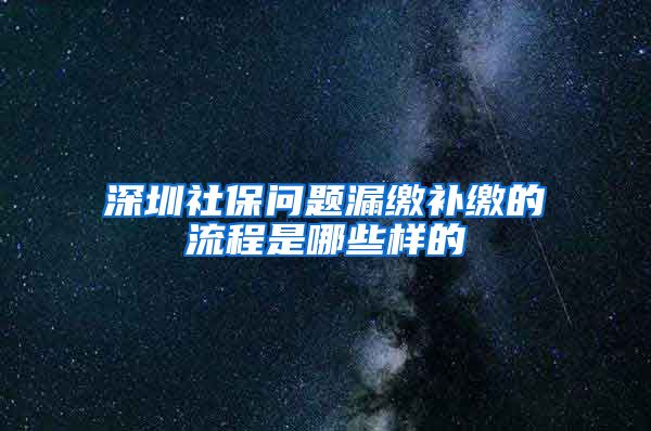 深圳社保问题漏缴补缴的流程是哪些样的