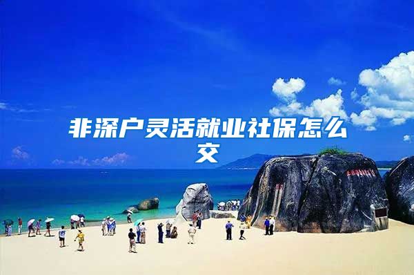 非深户灵活就业社保怎么交