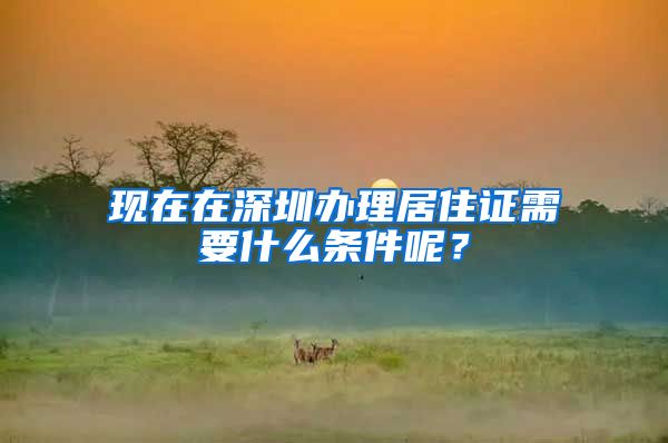 现在在深圳办理居住证需要什么条件呢？