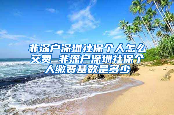 非深户深圳社保个人怎么交费 非深户深圳社保个人缴费基数是多少