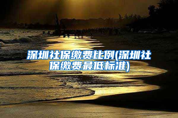 深圳社保缴费比例(深圳社保缴费最低标准)
