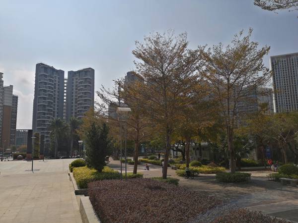 深圳本科如何转入户口