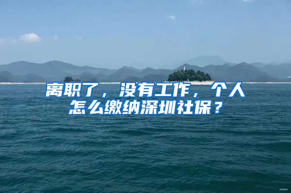 离职了，没有工作，个人怎么缴纳深圳社保？