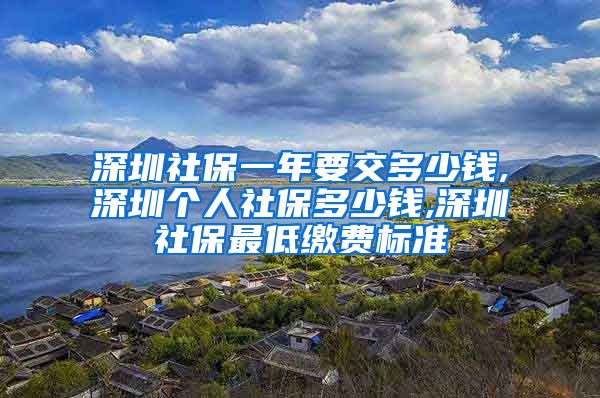 深圳社保一年要交多少钱,深圳个人社保多少钱,深圳社保最低缴费标准