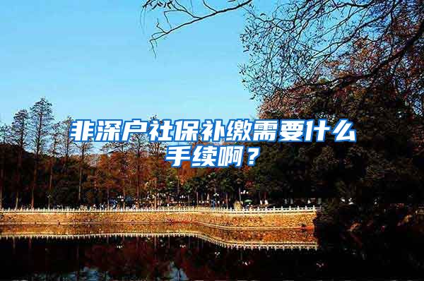 非深户社保补缴需要什么手续啊？