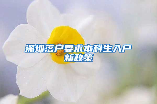深圳落户要求本科生入户新政策