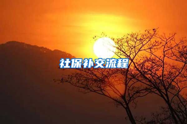 社保补交流程