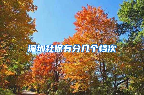 深圳社保有分几个档次