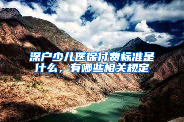 深户少儿医保付费标准是什么，有哪些相关规定