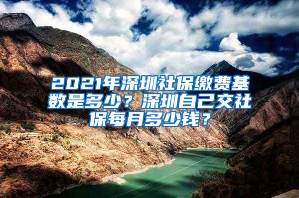2021年深圳社保缴费基数是多少？深圳自己交社保每月多少钱？