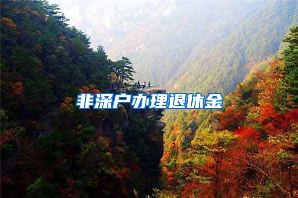 非深户办理退休金