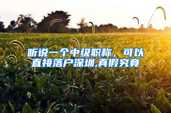 听说一个中级职称，可以直接落户深圳,真假究竟