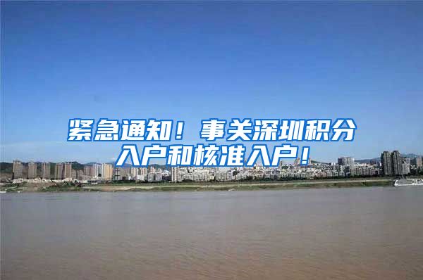 紧急通知！事关深圳积分入户和核准入户！