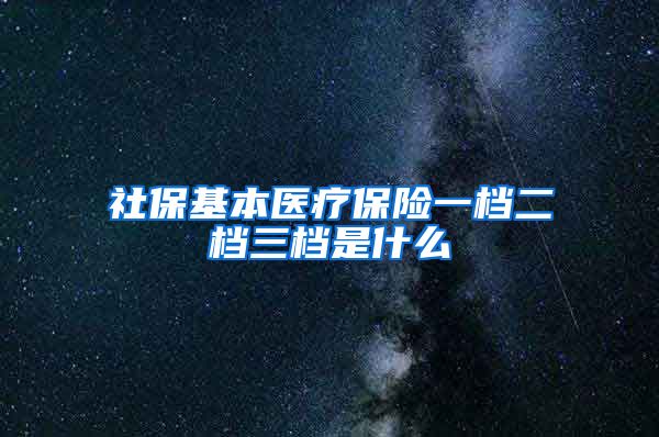 社保基本医疗保险一档二档三档是什么