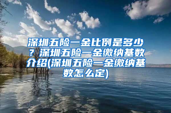 深圳五险一金比例是多少？深圳五险一金缴纳基数介绍(深圳五险一金缴纳基数怎么定)