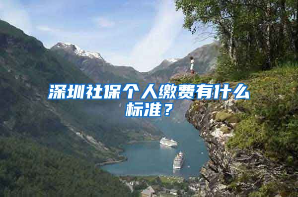深圳社保个人缴费有什么标准？