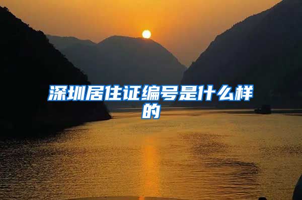 深圳居住证编号是什么样的