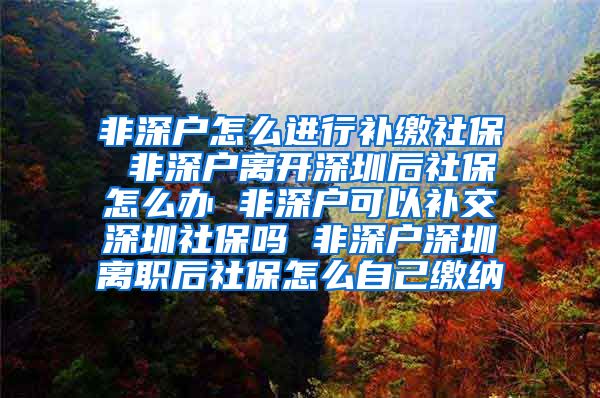 非深户怎么进行补缴社保 非深户离开深圳后社保怎么办 非深户可以补交深圳社保吗 非深户深圳离职后社保怎么自己缴纳