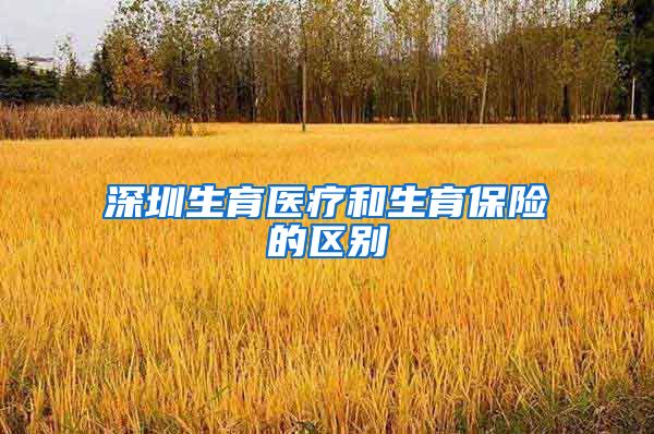 深圳生育医疗和生育保险的区别