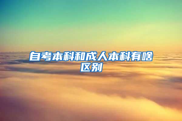 自考本科和成人本科有啥区别