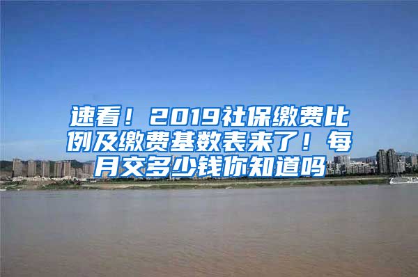 速看！2019社保缴费比例及缴费基数表来了！每月交多少钱你知道吗