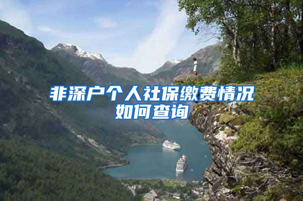 非深户个人社保缴费情况如何查询