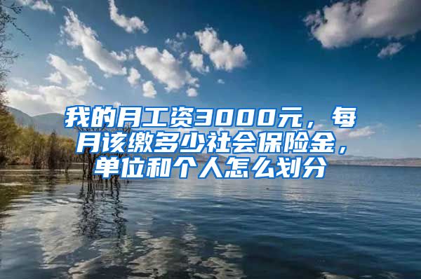 我的月工资3000元，每月该缴多少社会保险金，单位和个人怎么划分