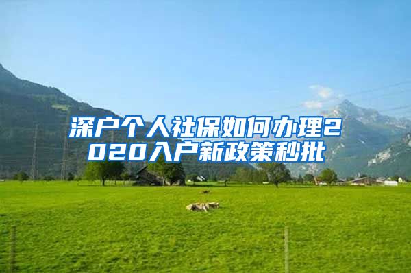 深户个人社保如何办理2020入户新政策秒批